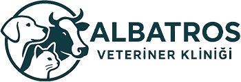 Albatros Veteriner Kliniği